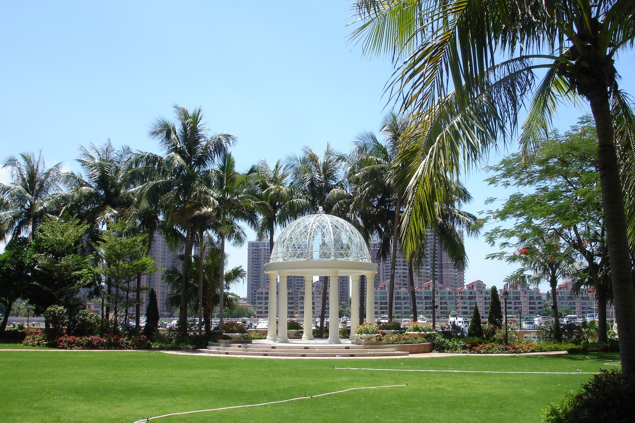 DSC04594A