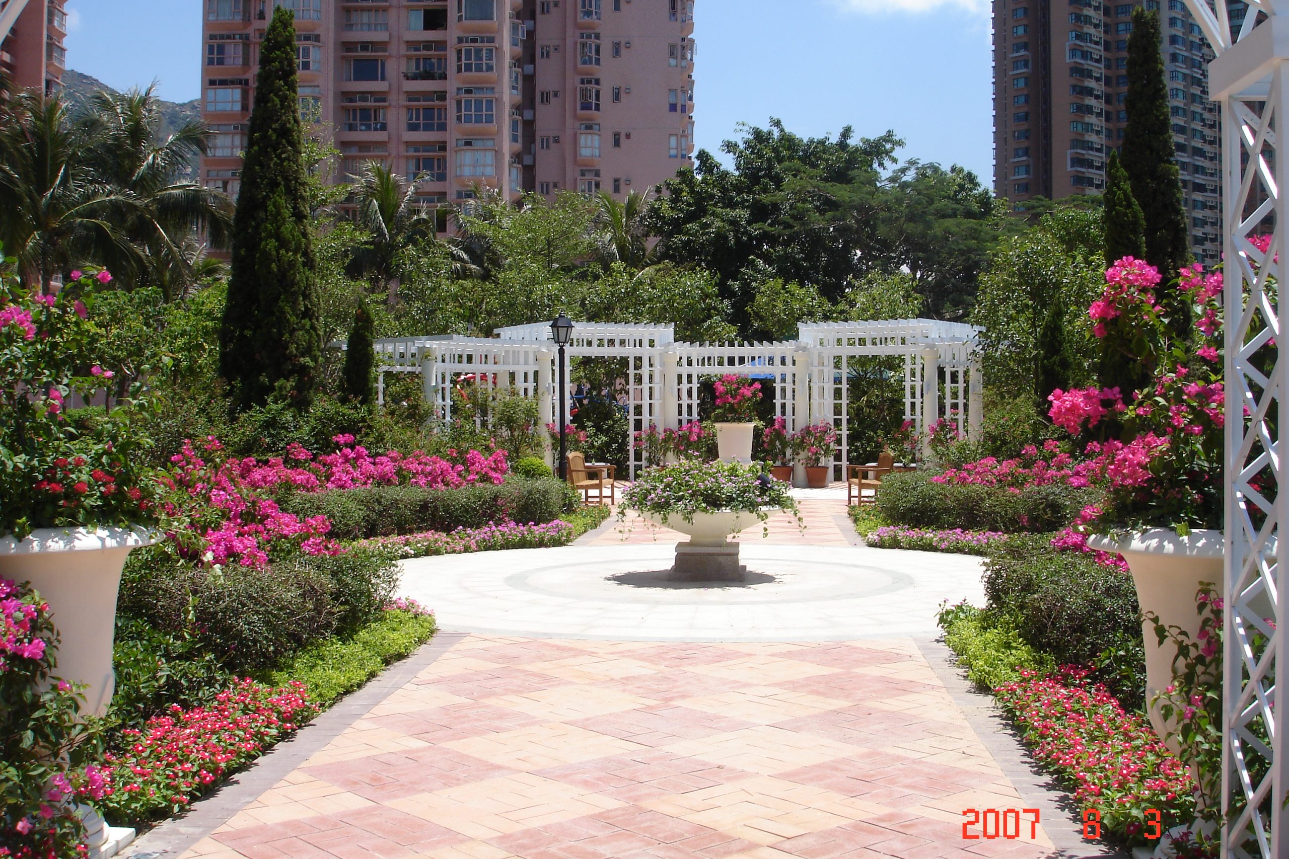 DSC04601
